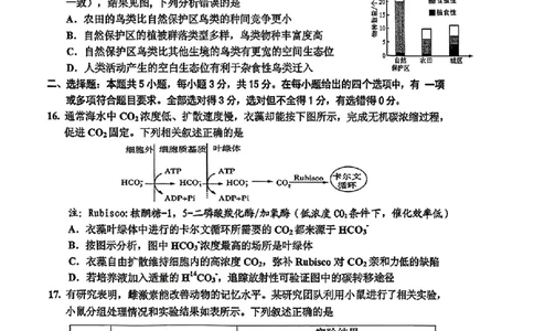 生物-2026届吉林地区2025-2026高三下第三次调研测试(吉林三调)_2024-2026高三（6-6月题库）_2026年04月高三试卷_2604032026届吉林地区2025-2026高三下第三次调研测试(吉林三调)（全科）