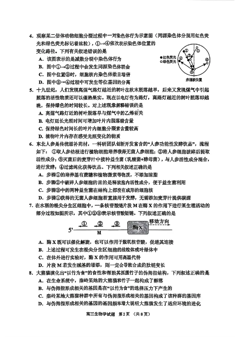 生物-2026届吉林地区2025-2026高三下第三次调研测试(吉林三调)_2024-2026高三（6-6月题库）_2026年04月高三试卷_2604032026届吉林地区2025-2026高三下第三次调研测试(吉林三调)（全科）