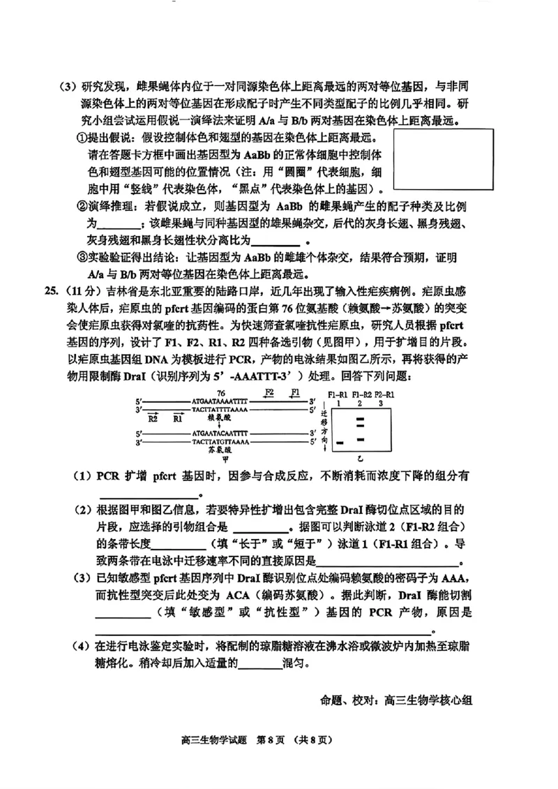生物-2026届吉林地区2025-2026高三下第三次调研测试(吉林三调)_2024-2026高三（6-6月题库）_2026年04月高三试卷_2604032026届吉林地区2025-2026高三下第三次调研测试(吉林三调)（全科）
