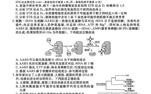 生物-江苏省顶尖九校2026届高三年级联考（南师附中、苏州中学、天一中学、扬州中学、南通中学、如皋中学、启东中学、常州中学、盐城中学）_2024-2026高三（6-6月题库）_2026年03月高三试卷