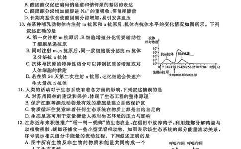 生物-江苏省顶尖九校2026届高三年级联考（南师附中、苏州中学、天一中学、扬州中学、南通中学、如皋中学、启东中学、常州中学、盐城中学）_2024-2026高三（6-6月题库）_2026年03月高三试卷