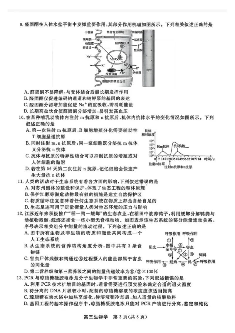 生物-江苏省顶尖九校2026届高三年级联考（南师附中、苏州中学、天一中学、扬州中学、南通中学、如皋中学、启东中学、常州中学、盐城中学）_2024-2026高三（6-6月题库）_2026年03月高三试卷