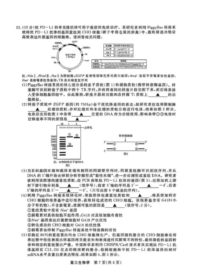 生物-江苏省顶尖九校2026届高三年级联考（南师附中、苏州中学、天一中学、扬州中学、南通中学、如皋中学、启东中学、常州中学、盐城中学）_2024-2026高三（6-6月题库）_2026年03月高三试卷