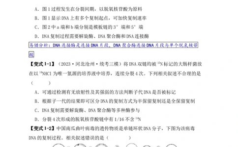 易错点09基因表达的&ldquo;三个&rdquo;理解误区（原卷版）_新高考复习资料_2024年新高考复习资料_❤专项复习资料_完备战2024年高考生物考试易错题（新高考专用）