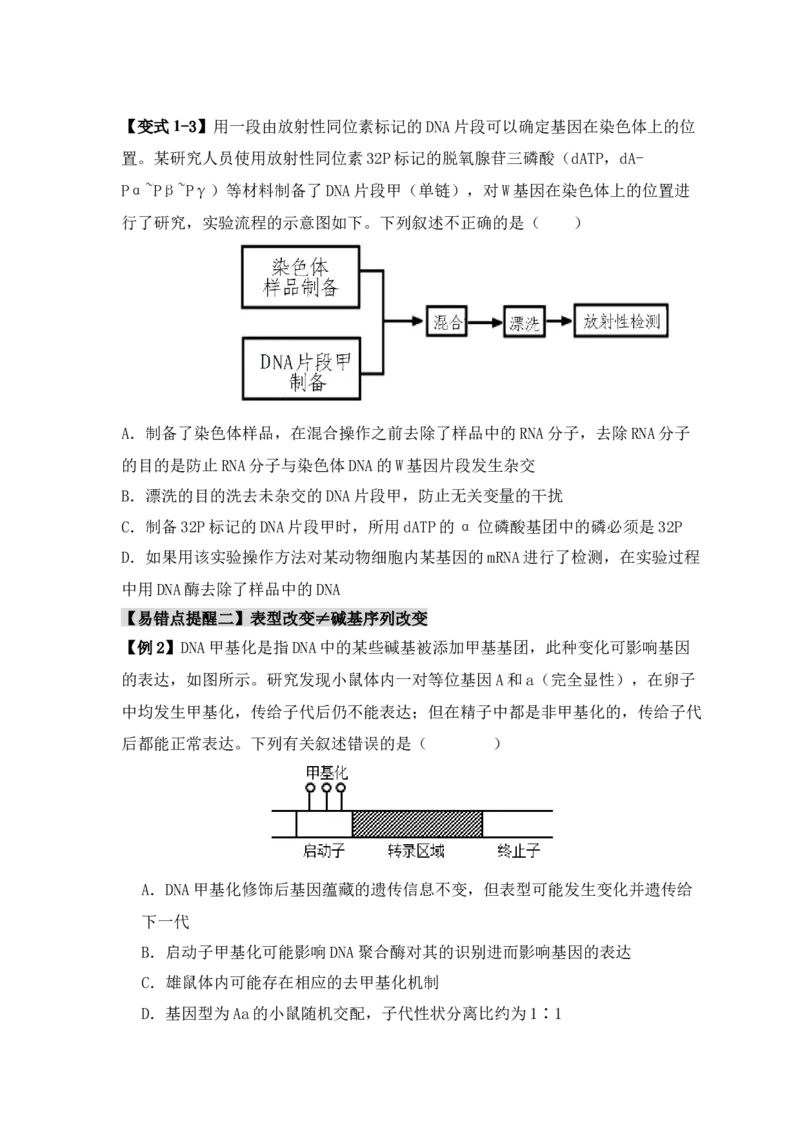 易错点09基因表达的&ldquo;三个&rdquo;理解误区（原卷版）_新高考复习资料_2024年新高考复习资料_❤专项复习资料_完备战2024年高考生物考试易错题（新高考专用）