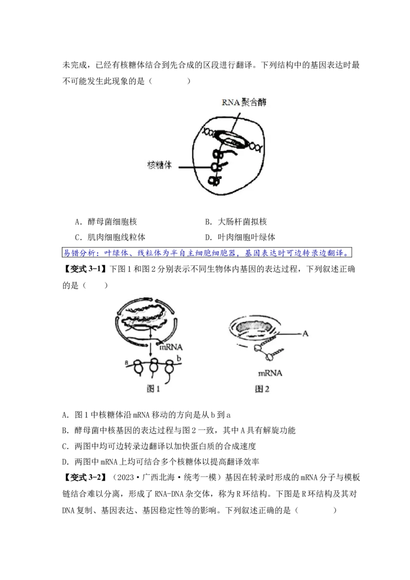 易错点09基因表达的&ldquo;三个&rdquo;理解误区（原卷版）_新高考复习资料_2024年新高考复习资料_❤专项复习资料_完备战2024年高考生物考试易错题（新高考专用）