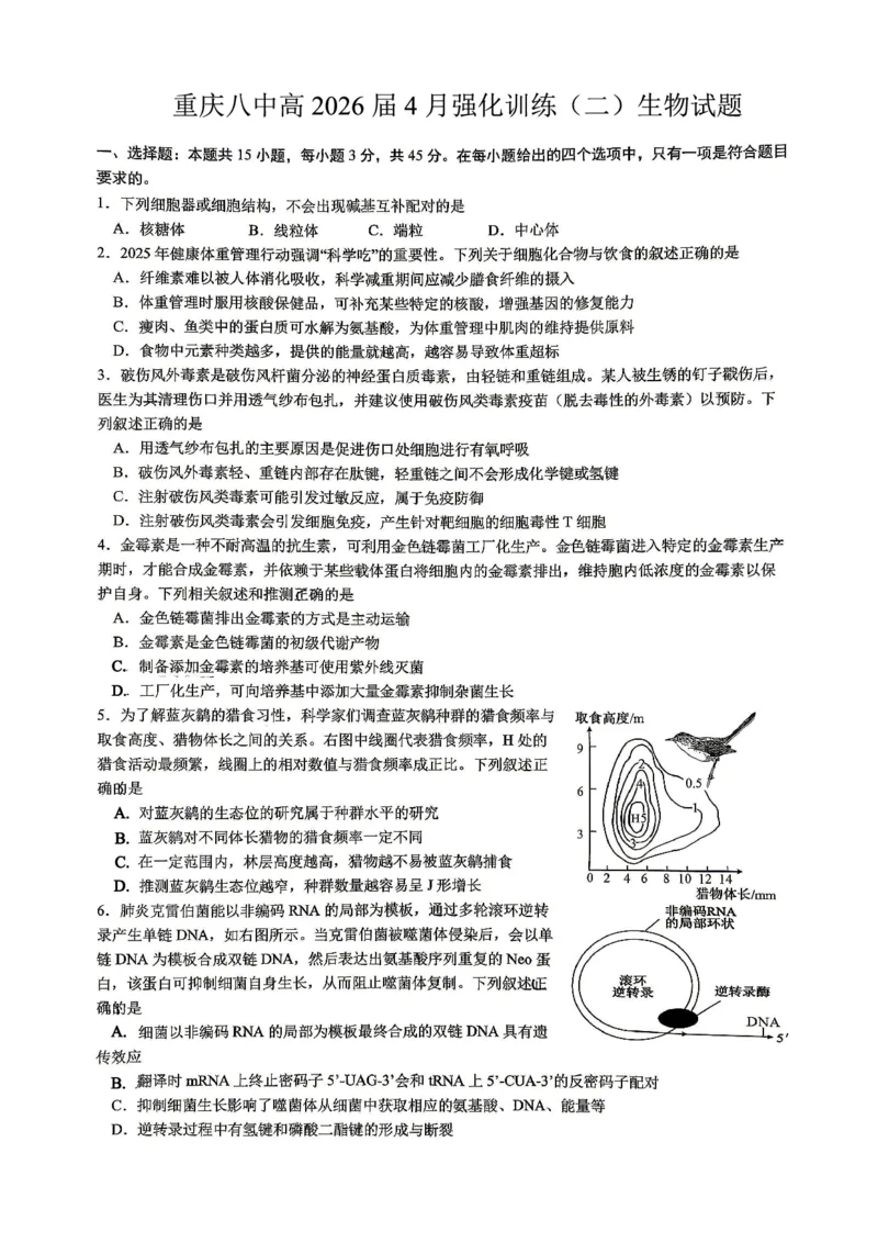 重庆八中高2026届4月强化训练（二）生物_2024-2026高三（6-6月题库）_2026年04月高三试卷_260424重庆八中高2026届4月强化训练（二）（全科）