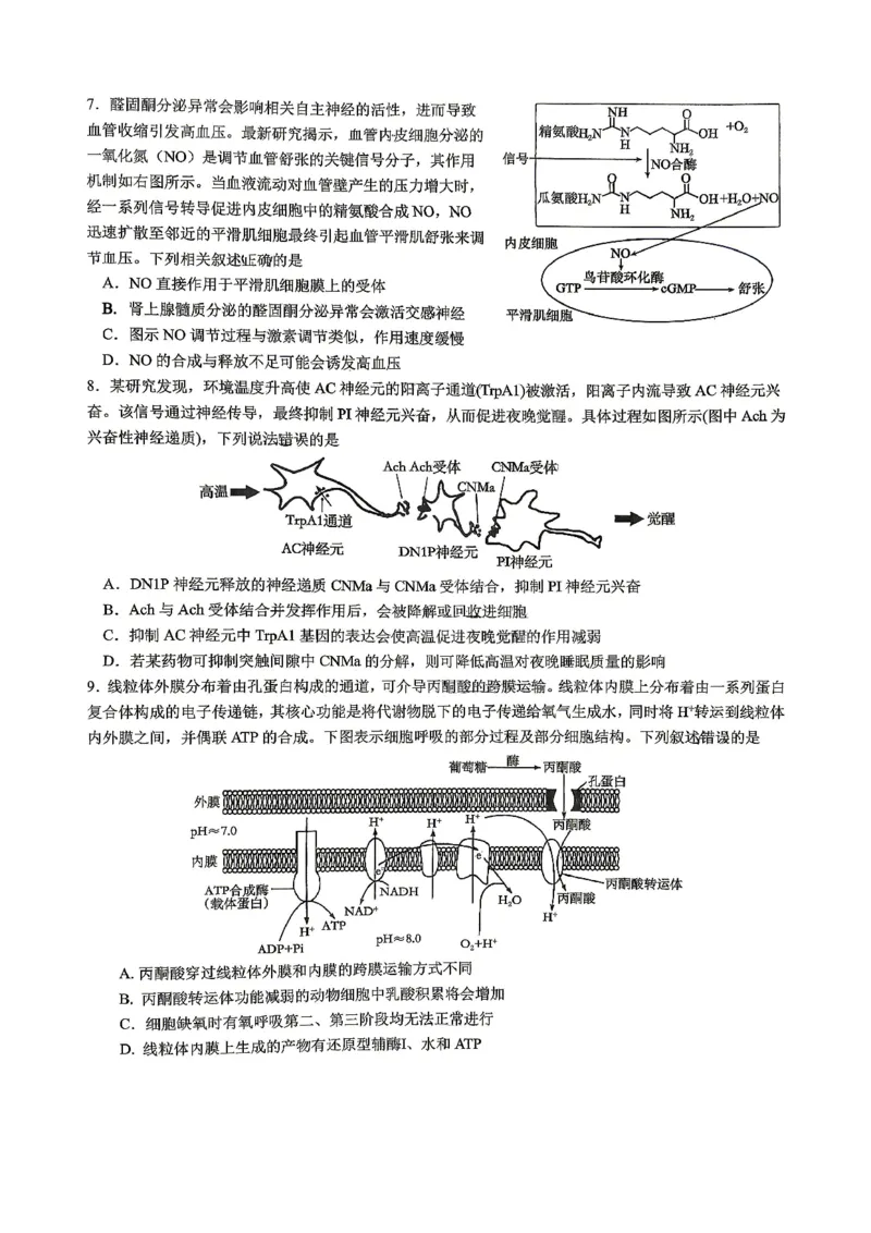 重庆八中高2026届4月强化训练（二）生物_2024-2026高三（6-6月题库）_2026年04月高三试卷_260424重庆八中高2026届4月强化训练（二）（全科）
