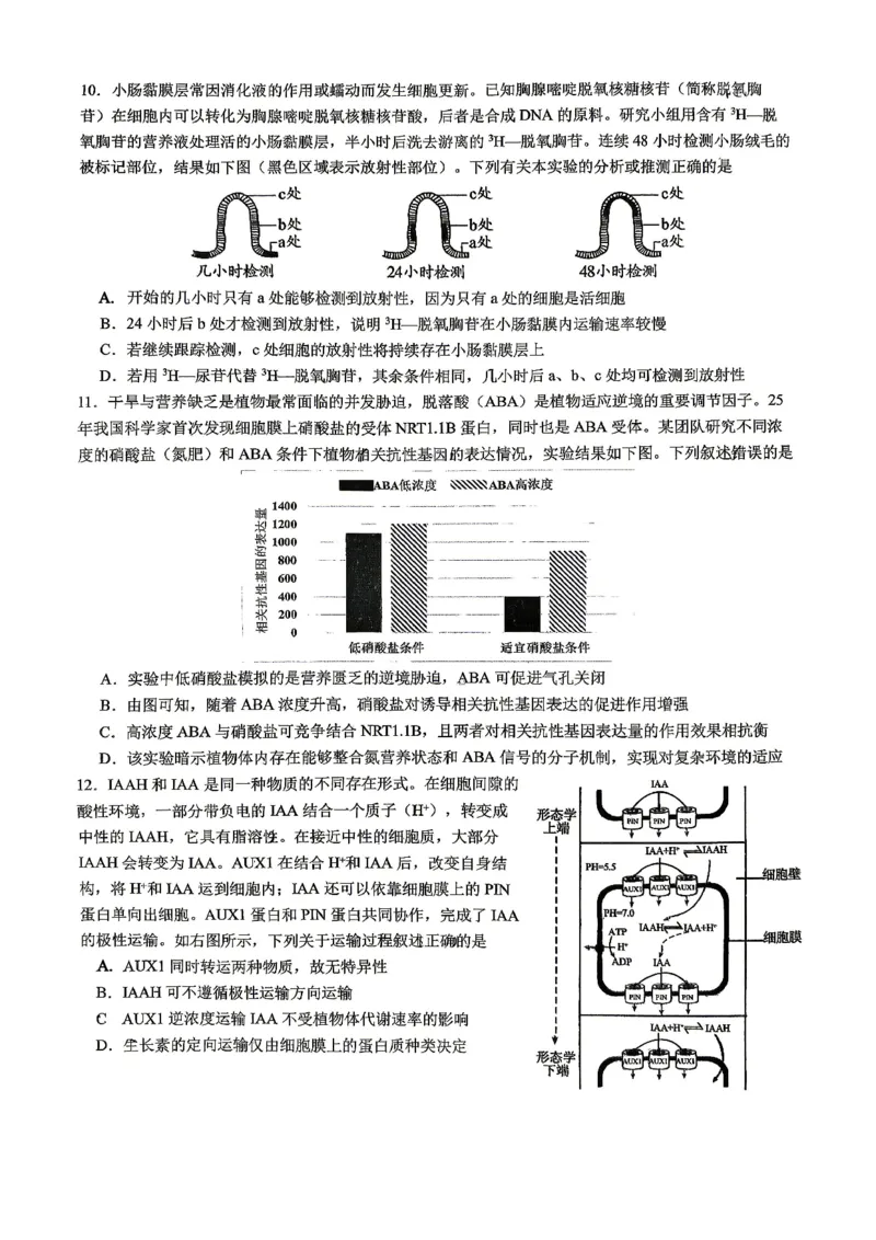 重庆八中高2026届4月强化训练（二）生物_2024-2026高三（6-6月题库）_2026年04月高三试卷_260424重庆八中高2026届4月强化训练（二）（全科）