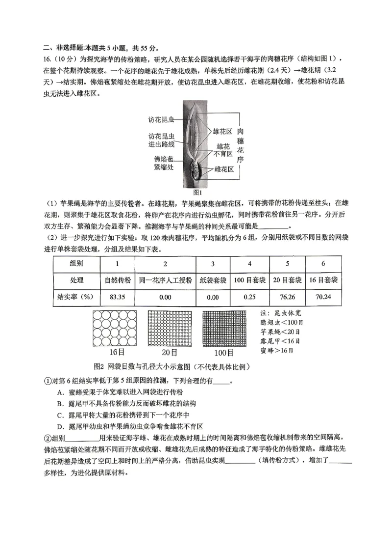 重庆八中高2026届4月强化训练（二）生物_2024-2026高三（6-6月题库）_2026年04月高三试卷_260424重庆八中高2026届4月强化训练（二）（全科）