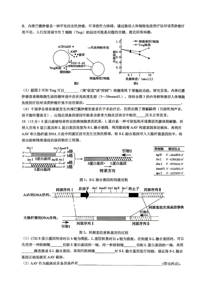 重庆八中高2026届4月强化训练（二）生物_2024-2026高三（6-6月题库）_2026年04月高三试卷_260424重庆八中高2026届4月强化训练（二）（全科）