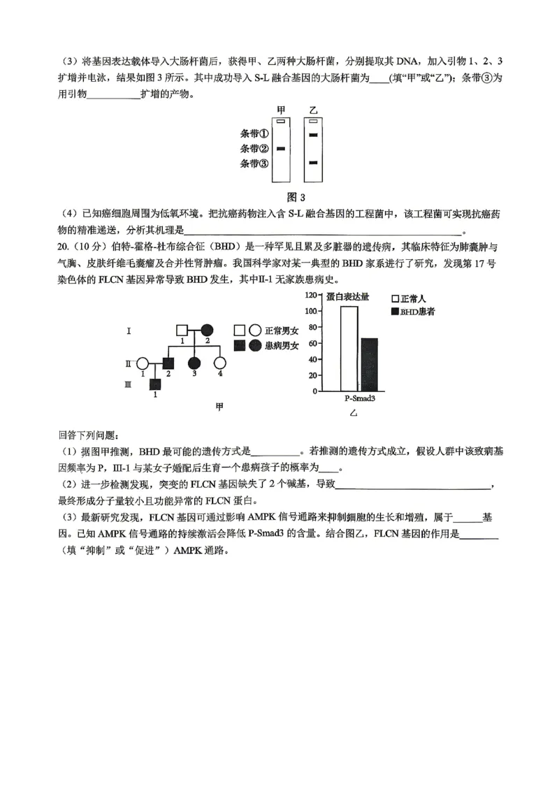 重庆八中高2026届4月强化训练（二）生物_2024-2026高三（6-6月题库）_2026年04月高三试卷_260424重庆八中高2026届4月强化训练（二）（全科）