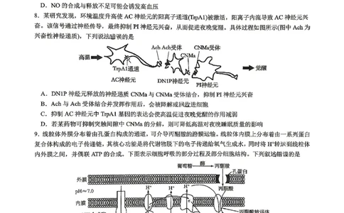 重庆八中高2026届4月强化训练（二）生物_2024-2026高三（6-6月题库）_2026年04月高三试卷_260424重庆八中高2026届4月强化训练（二）（全科）