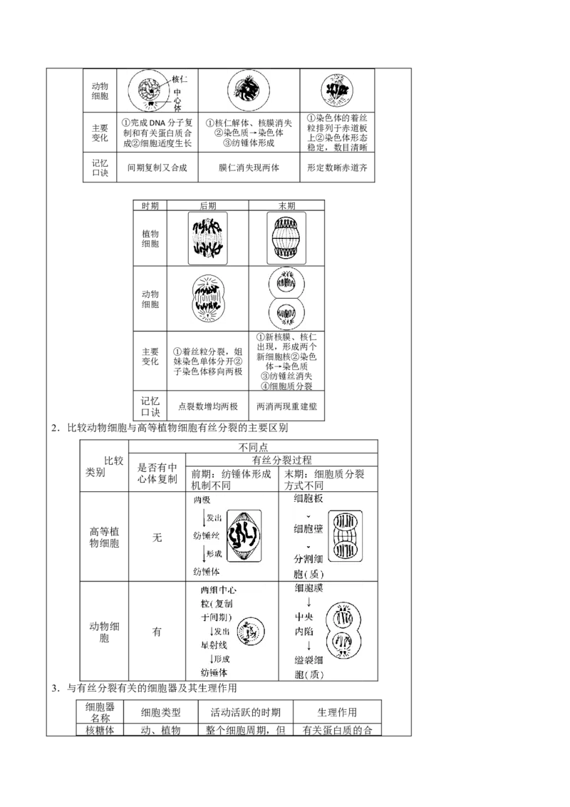 知识清单08+细胞的增殖（4大考点+5个易错点）-上好课2025年高考生物一轮复习知识清单_新高考复习资料_2025年新高考资料_2025年高考生物一轮复习知识清单