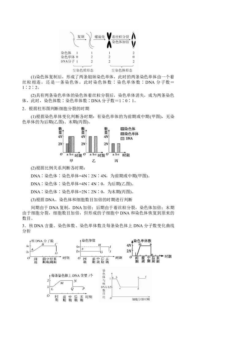 知识清单08+细胞的增殖（4大考点+5个易错点）-上好课2025年高考生物一轮复习知识清单_新高考复习资料_2025年新高考资料_2025年高考生物一轮复习知识清单
