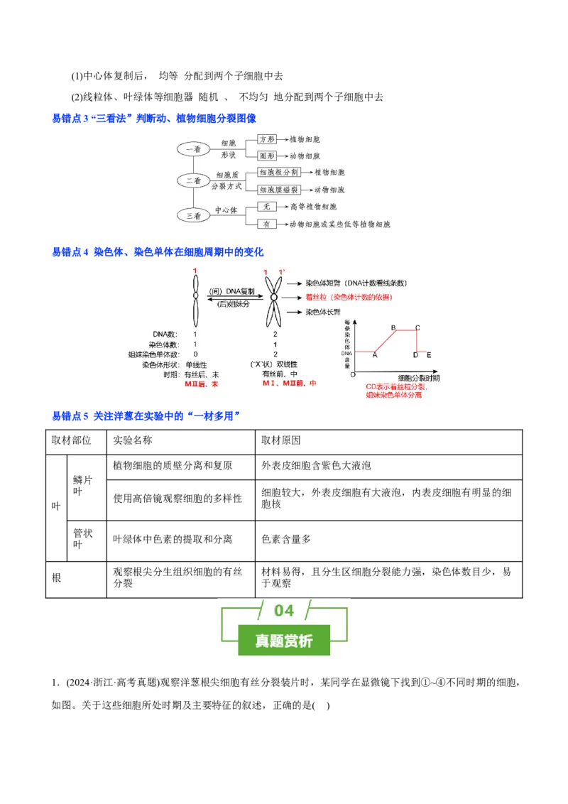 知识清单08+细胞的增殖（4大考点+5个易错点）-上好课2025年高考生物一轮复习知识清单_新高考复习资料_2025年新高考资料_2025年高考生物一轮复习知识清单