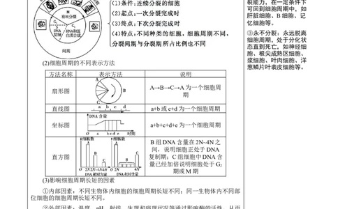 知识清单08+细胞的增殖（4大考点+5个易错点）-上好课2025年高考生物一轮复习知识清单_新高考复习资料_2025年新高考资料_2025年高考生物一轮复习知识清单