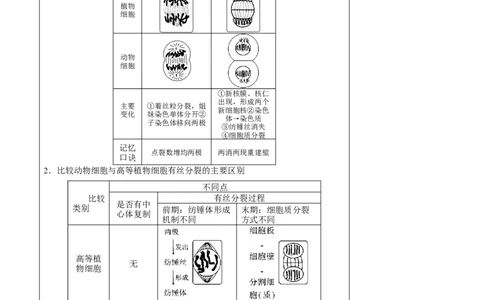 知识清单08+细胞的增殖（4大考点+5个易错点）-上好课2025年高考生物一轮复习知识清单_新高考复习资料_2025年新高考资料_2025年高考生物一轮复习知识清单