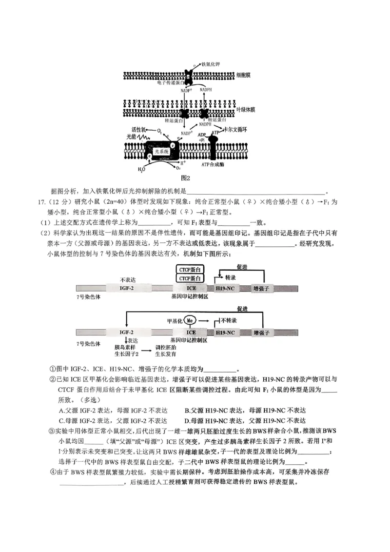 重庆育才中学高2026届高三（下）3月月考生物_2024-2026高三（6-6月题库）_2026年03月高三试卷_260330重庆育才中学高2026届高三（下）3月月考（全科）