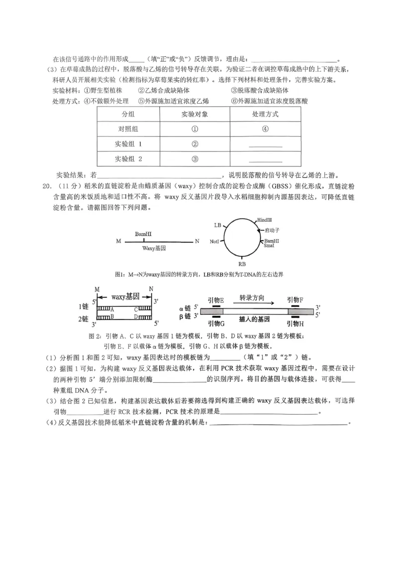重庆育才中学高2026届高三（下）3月月考生物_2024-2026高三（6-6月题库）_2026年03月高三试卷_260330重庆育才中学高2026届高三（下）3月月考（全科）