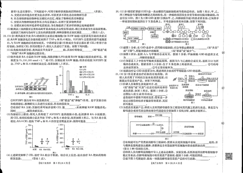 金太阳&middot;江西省2025-2026学年高三下学期2月开学素养训练（26-289C）生物_2024-2026高三（6-6月题库）_2026年03月高三试卷