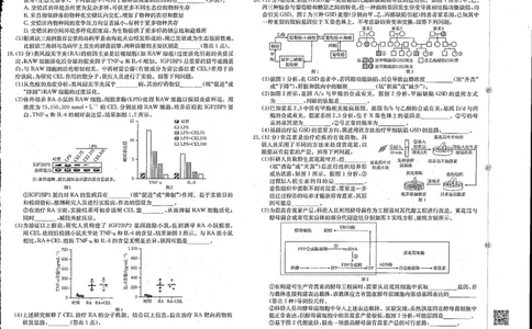 金太阳&middot;江西省2025-2026学年高三下学期2月开学素养训练（26-289C）生物_2024-2026高三（6-6月题库）_2026年03月高三试卷