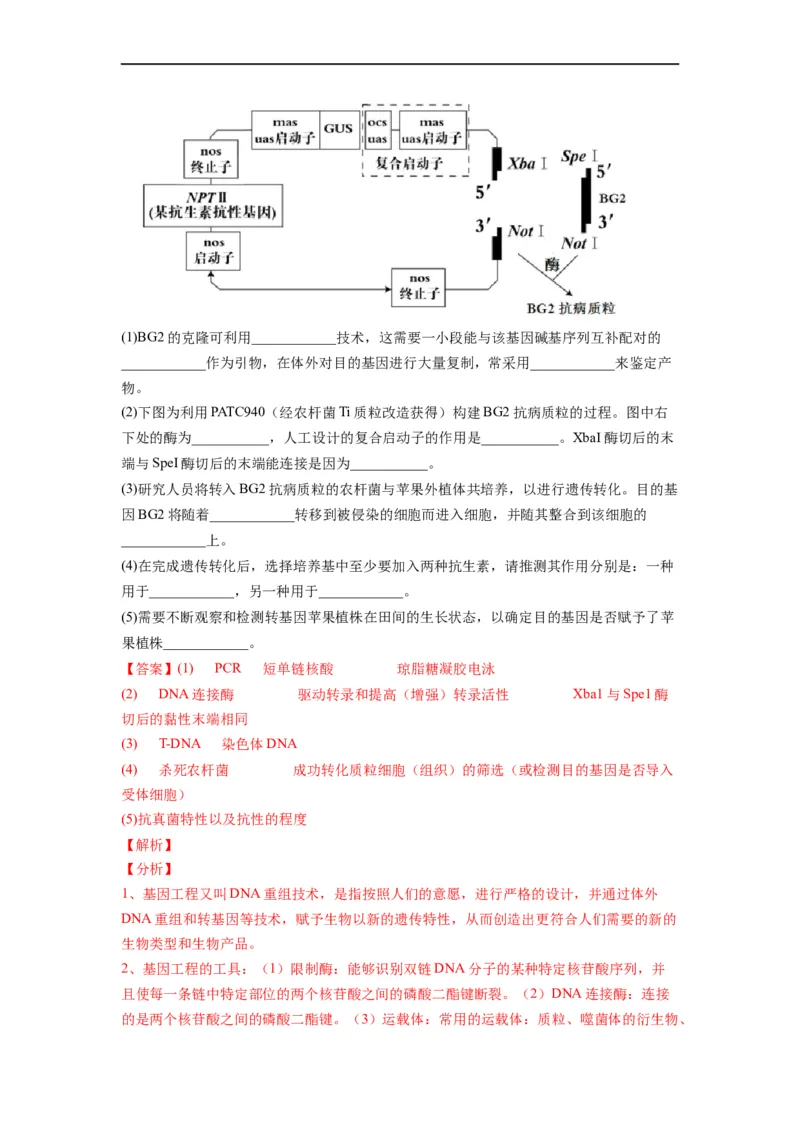 热点05基因工程的典型题分析（解析版）_通用版（老高考）复习资料_2023年复习资料_专项复习_2023年高考生物热点&middot;重点&middot;难点专练（全国通用）