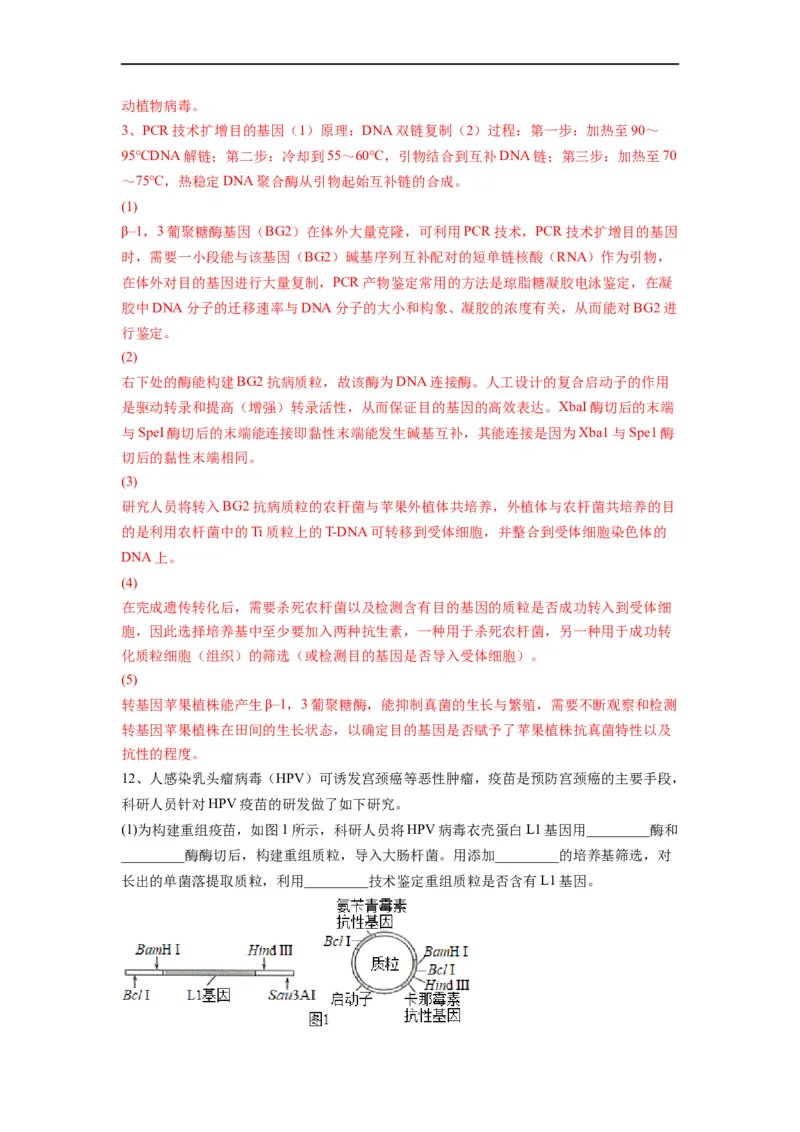 热点05基因工程的典型题分析（解析版）_通用版（老高考）复习资料_2023年复习资料_专项复习_2023年高考生物热点&middot;重点&middot;难点专练（全国通用）