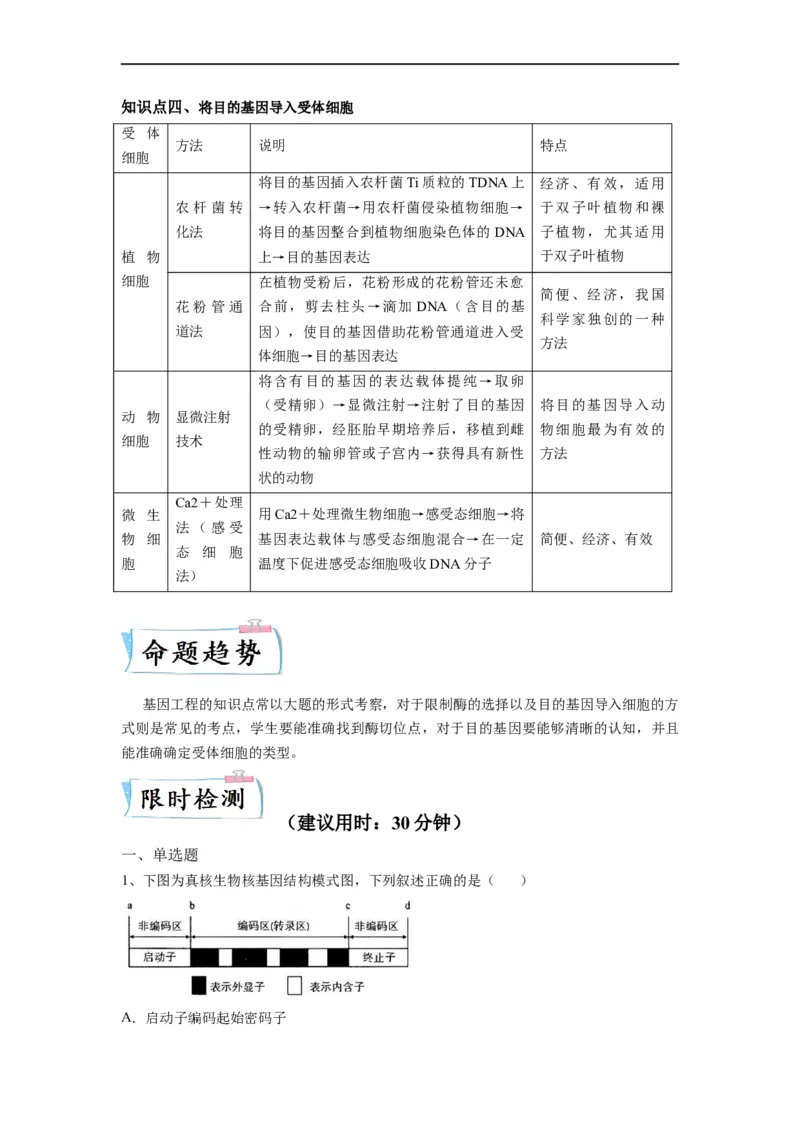 热点05基因工程的典型题分析（解析版）_通用版（老高考）复习资料_2023年复习资料_专项复习_2023年高考生物热点&middot;重点&middot;难点专练（全国通用）