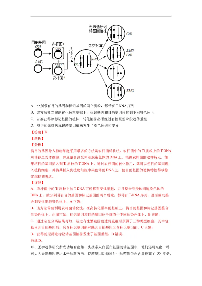 热点05基因工程的典型题分析（解析版）_通用版（老高考）复习资料_2023年复习资料_专项复习_2023年高考生物热点&middot;重点&middot;难点专练（全国通用）