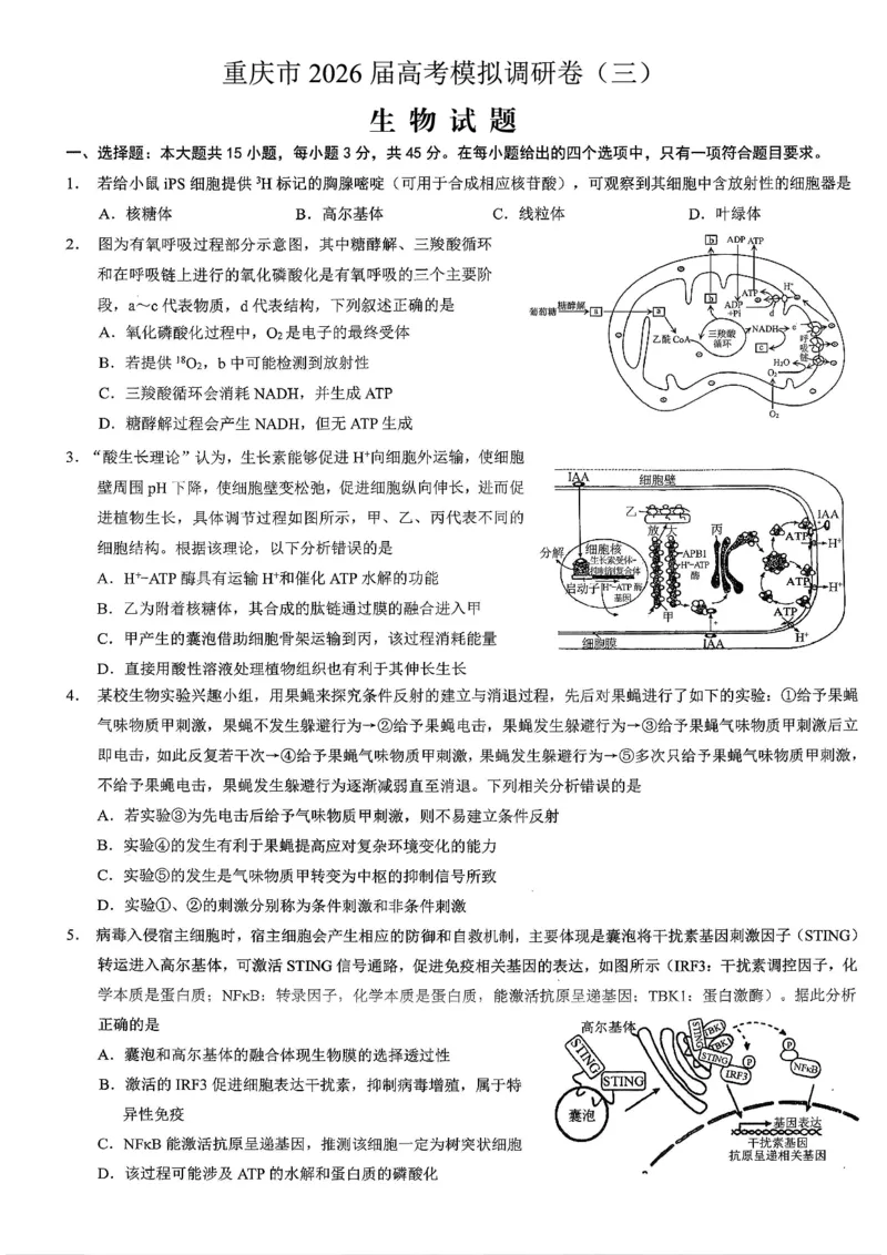 重庆市2026年普通高等学校招生全国统一考试康德调研（三）生物+答案_2024-2026高三（6-6月题库）_2026年03月高三试卷