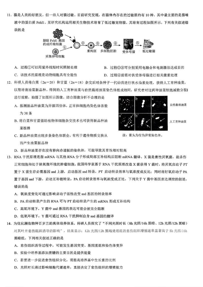 重庆市2026年普通高等学校招生全国统一考试康德调研（三）生物+答案_2024-2026高三（6-6月题库）_2026年03月高三试卷