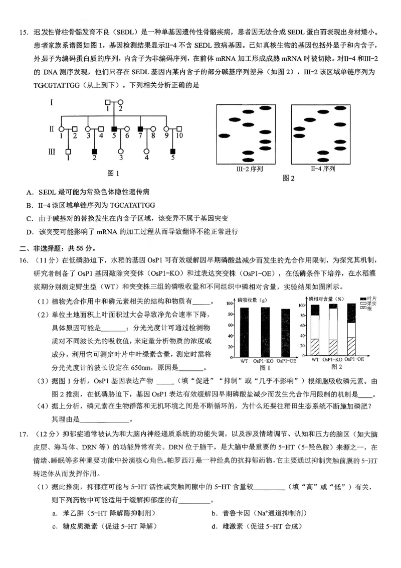 重庆市2026年普通高等学校招生全国统一考试康德调研（三）生物+答案_2024-2026高三（6-6月题库）_2026年03月高三试卷