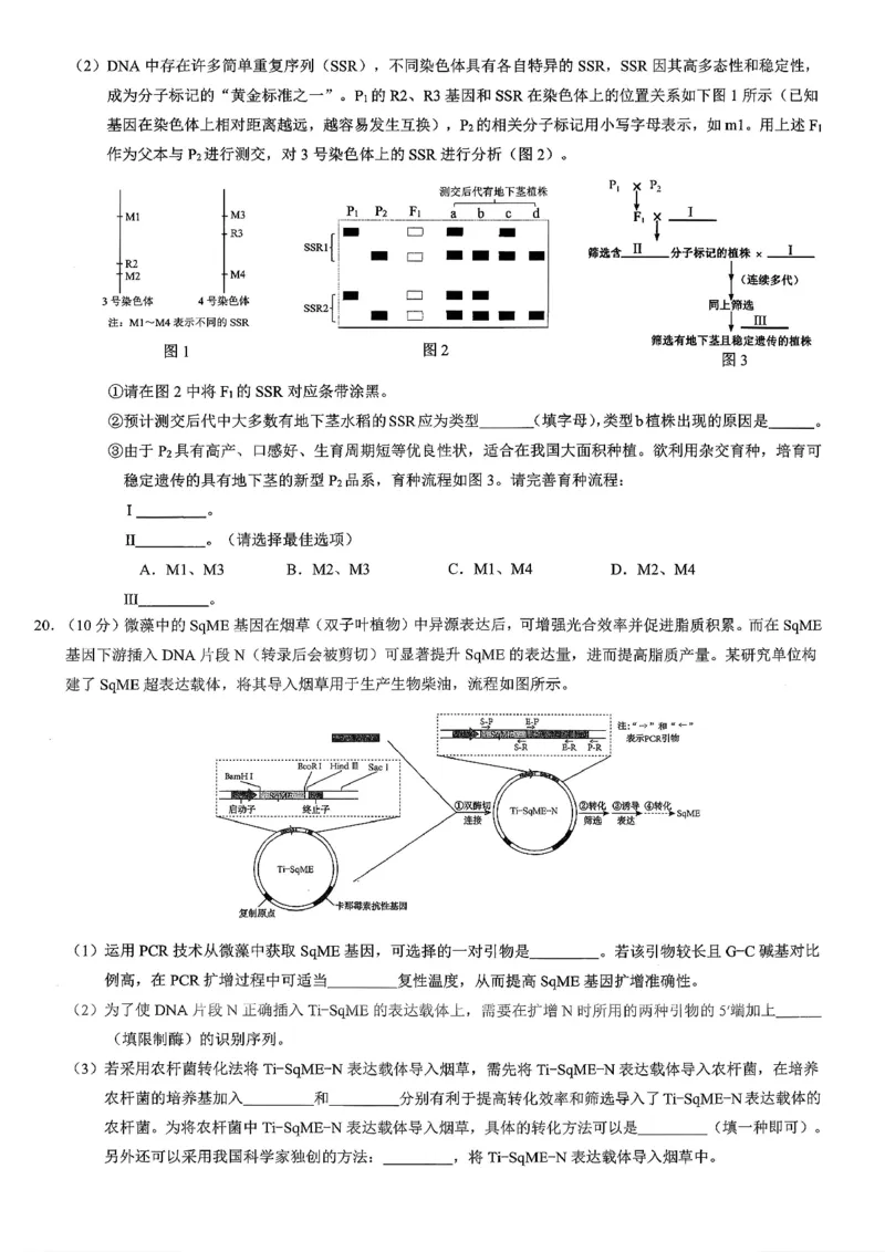 重庆市2026年普通高等学校招生全国统一考试康德调研（三）生物+答案_2024-2026高三（6-6月题库）_2026年03月高三试卷