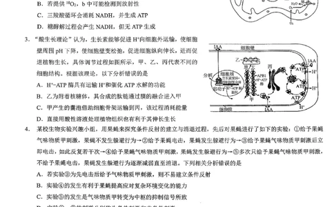 重庆市2026年普通高等学校招生全国统一考试康德调研（三）生物+答案_2024-2026高三（6-6月题库）_2026年03月高三试卷