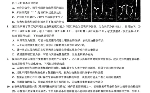 重庆市2026年普通高等学校招生全国统一考试康德调研（三）生物+答案_2024-2026高三（6-6月题库）_2026年03月高三试卷