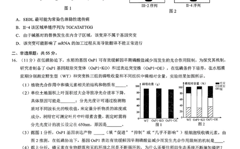 重庆市2026年普通高等学校招生全国统一考试康德调研（三）生物+答案_2024-2026高三（6-6月题库）_2026年03月高三试卷