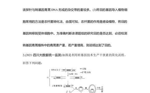 热点微练28PCR技术的应用_通用版（老高考）复习资料_2023年复习资料_一轮复习_2023年高考生物一轮复习讲义+课件（全国版）_2023年高考生物一轮复习讲义（全国版）_赠补充习题