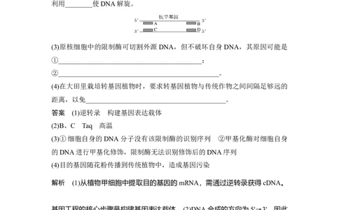 热点微练28PCR技术的应用_通用版（老高考）复习资料_2023年复习资料_一轮复习_2023年高考生物一轮复习讲义+课件（全国版）_2023年高考生物一轮复习讲义（全国版）_赠补充习题