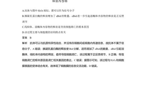 热点微练14　细胞分化、衰老、死亡与人体健康_新高考复习资料_2023年新高考复习资料_一轮复习_2023年新高考大一轮复习讲义_2023年高考生物一轮复习讲义（新人教新高考）_赠补充习题