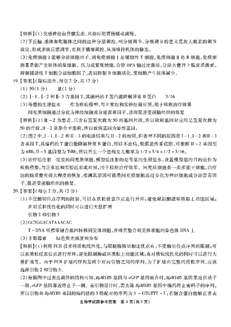 重庆市南开中学高2026届高三第七次质量检测生物答案_2024-2026高三（6-6月题库）_2026年04月高三试卷_260402重庆南开中学高2026届高三下学期3月第七次质量检测（月考七）（全科）