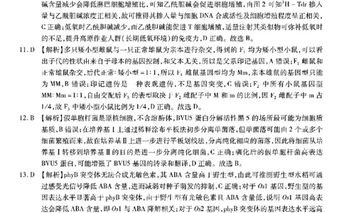 重庆市南开中学高2026届高三第七次质量检测生物答案_2024-2026高三（6-6月题库）_2026年04月高三试卷_260402重庆南开中学高2026届高三下学期3月第七次质量检测（月考七）（全科）