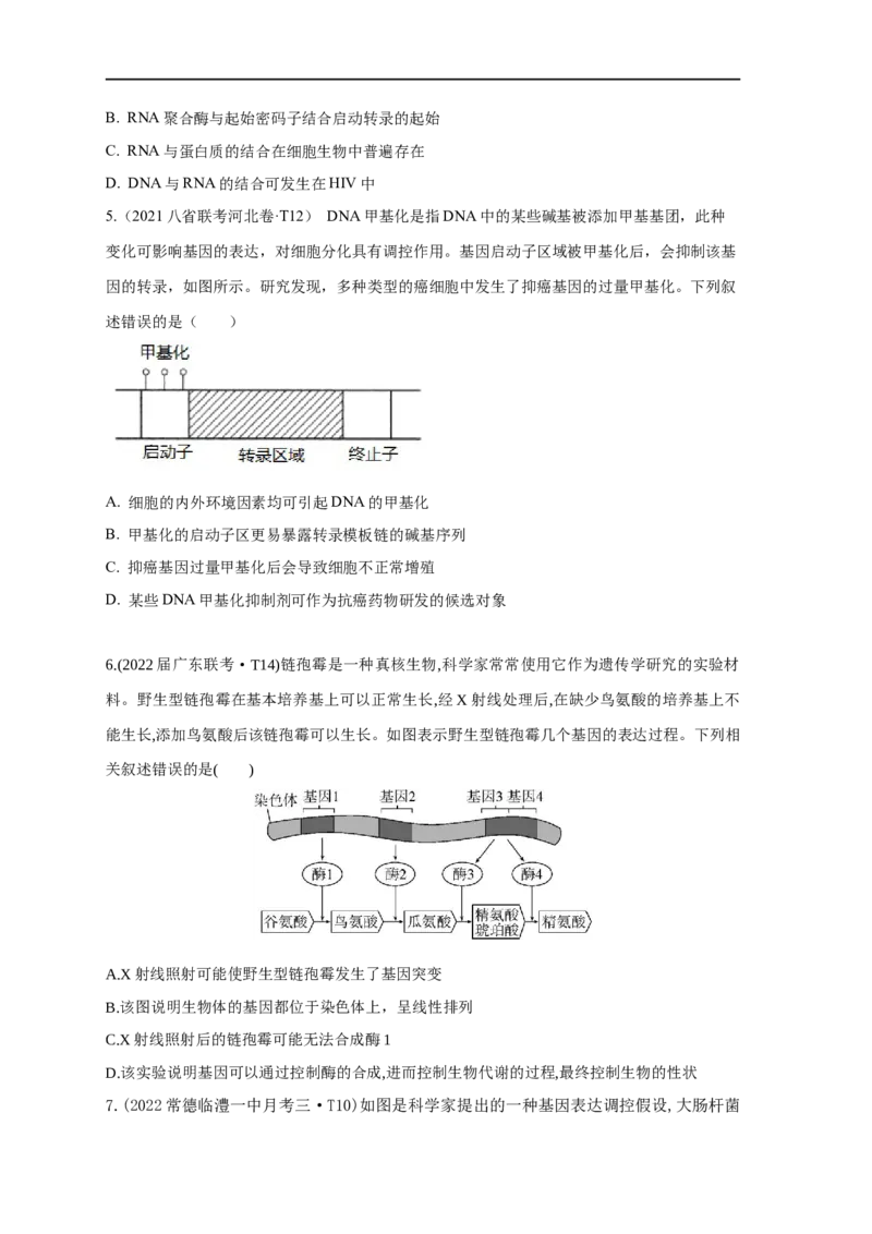 易错点19关于基因的表达的遗传题（原卷版）_通用版（老高考）复习资料_2023年复习资料_专项复习_备战2023年高考生物考试易错题（全国通用）_易错点19关于基因的表达的遗传题