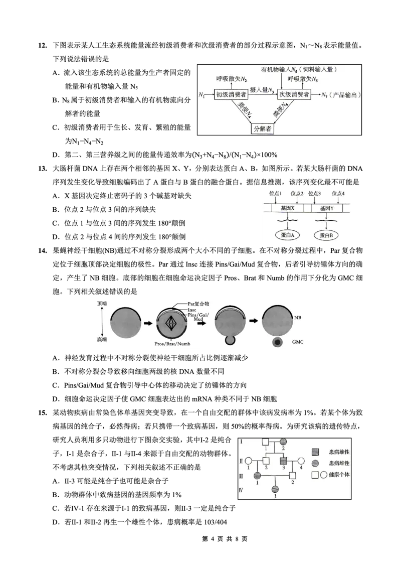重庆一中高2026届高三3月（末）月考生物_2024-2026高三（6-6月题库）_2026年03月高三试卷_260331重庆一中高2026届高三3月（末）月考（全科）