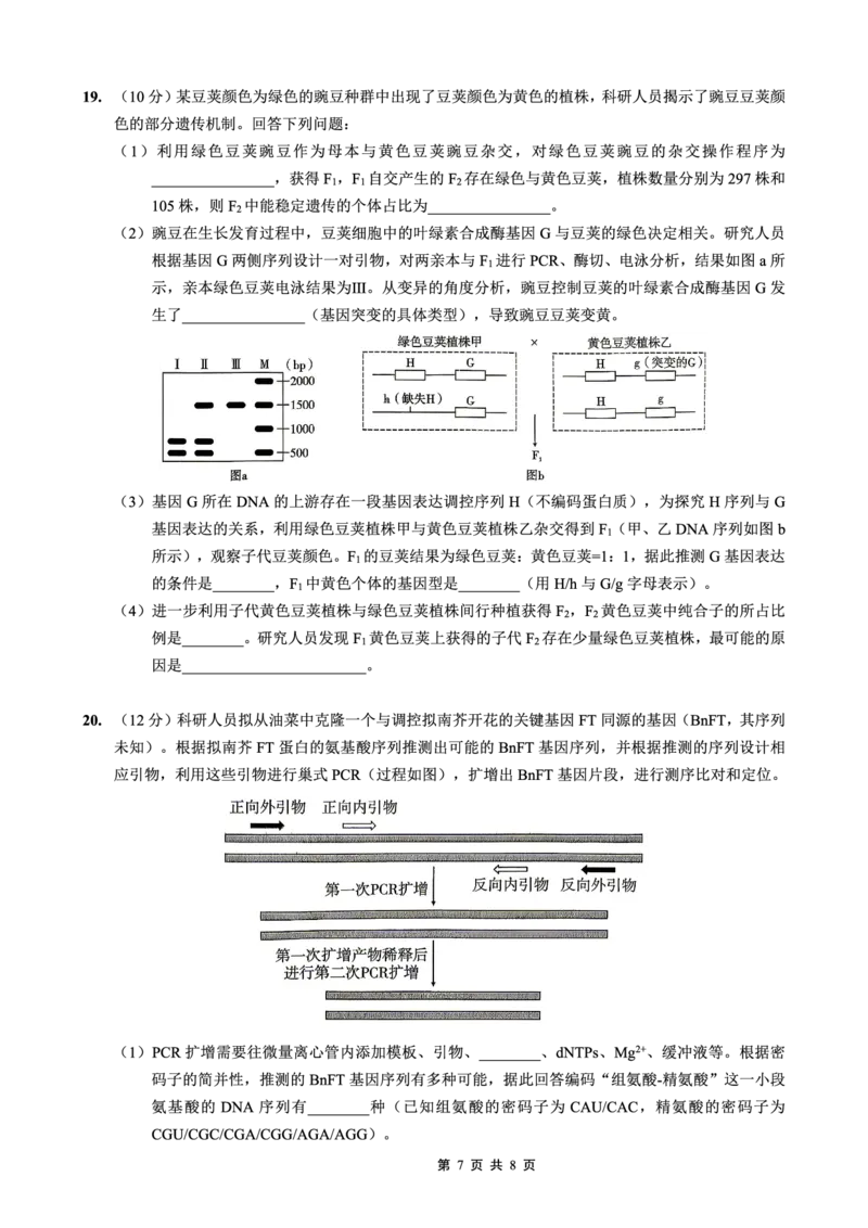 重庆一中高2026届高三3月（末）月考生物_2024-2026高三（6-6月题库）_2026年03月高三试卷_260331重庆一中高2026届高三3月（末）月考（全科）