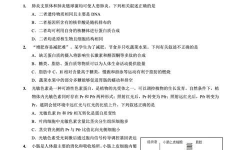 重庆一中高2026届高三3月（末）月考生物_2024-2026高三（6-6月题库）_2026年03月高三试卷_260331重庆一中高2026届高三3月（末）月考（全科）