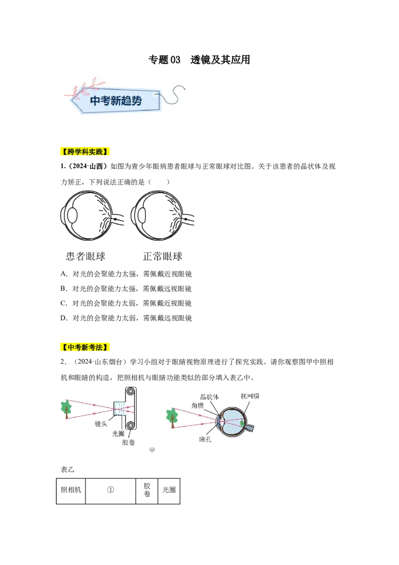 专题03透镜及其应用（原卷版）_初物_八年级上下册+九年级全一册物理_八年级物理上册_全套教学资源_课件教案2_中考真题_3.2024年全国中考真题分类汇编_专题03透镜及其应用