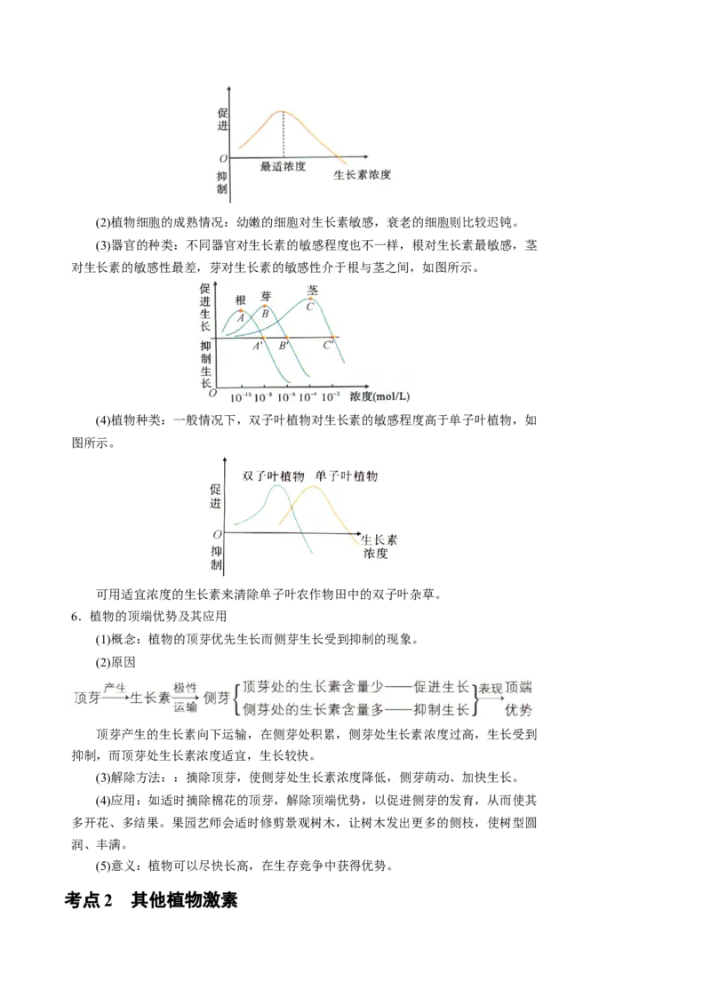 知识清单26植物生命活动调节（4大考点+6个易错点）-上好课2025年高考生物一轮复习知识清单_2025年新高考资料_一轮复习_上好课2025年高考生物一轮复习知识清单325572639