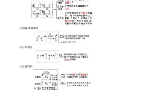 知识清单26植物生命活动调节（4大考点+6个易错点）-上好课2025年高考生物一轮复习知识清单_2025年新高考资料_一轮复习_上好课2025年高考生物一轮复习知识清单325572639