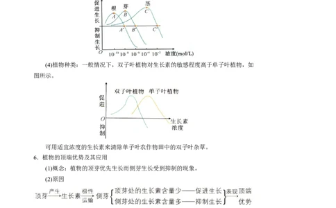 知识清单26植物生命活动调节（4大考点+6个易错点）-上好课2025年高考生物一轮复习知识清单_2025年新高考资料_一轮复习_上好课2025年高考生物一轮复习知识清单325572639